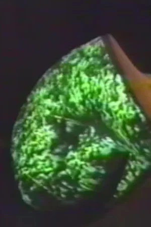 Постер: Embodied Images and Virtual Objects