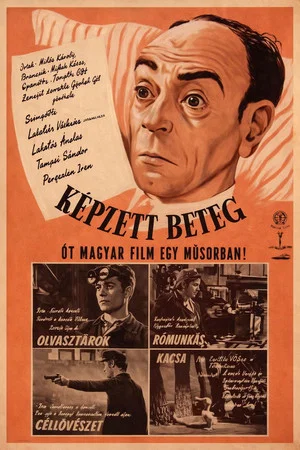 Постер: A képzett beteg