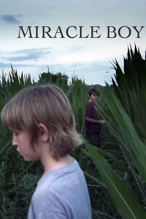Постер: Miracle Boy