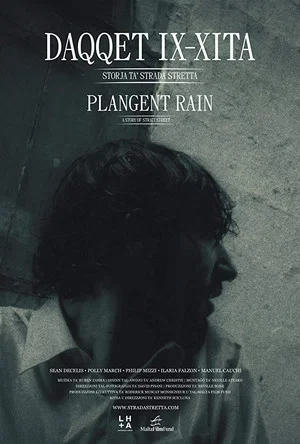 Постер: Plangent Rain