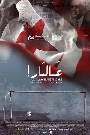 Постер: On the Crossbar