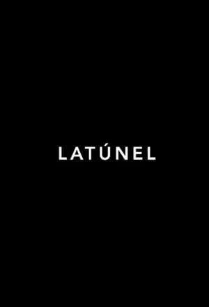 Постер: El túnel