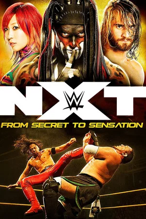 Постер: NXT: From Secret To Sensation