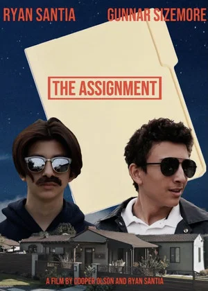 Постер: The Assignment