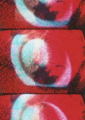 Постер: Video Self-Portrait