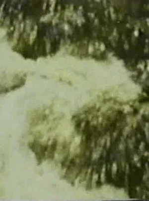 Постер: Song 3