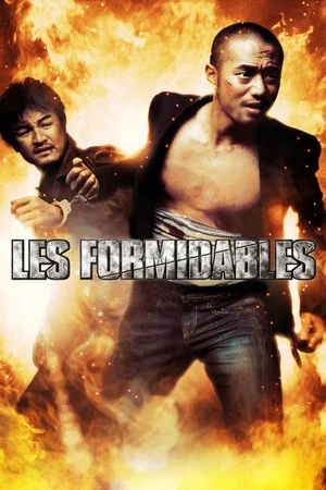 Постер: Les Formidables