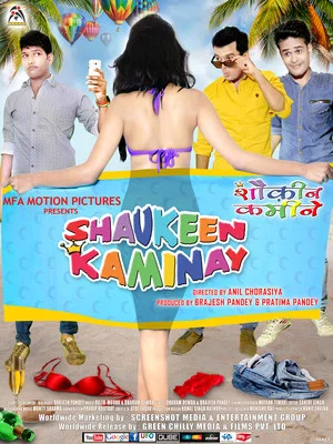 Постер: Shaukeen Kaminay