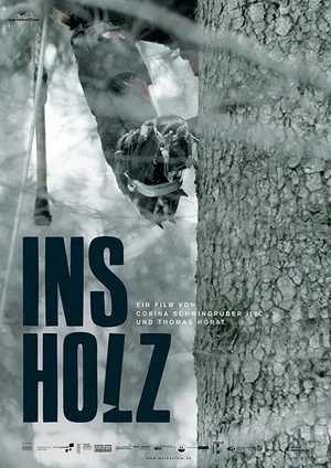 Постер: In the Woods