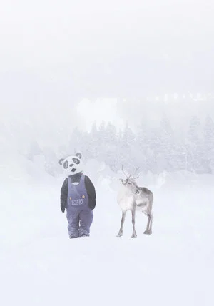 Постер: Wonder World of Ice