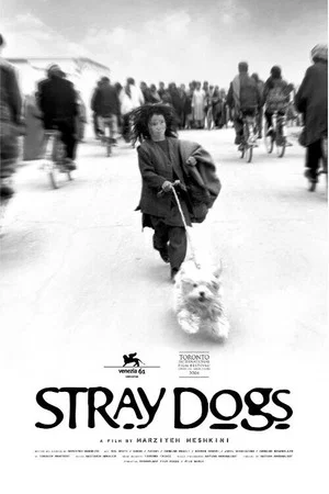 Постер: Stray Dogs