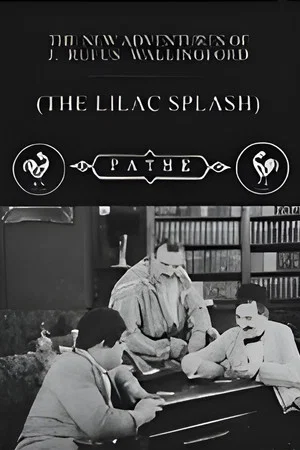 Постер: The Lilac Splash