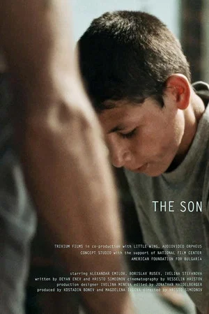 Постер: The Son