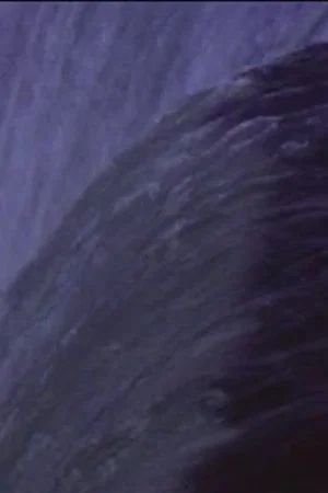 Постер: Five Year Diary, Reel 31: Niagara Falls (August 19–28, 1983)