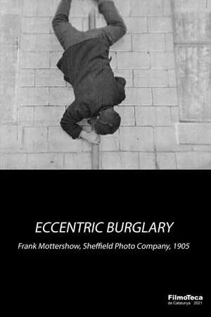 Постер: An Eccentric Burglary