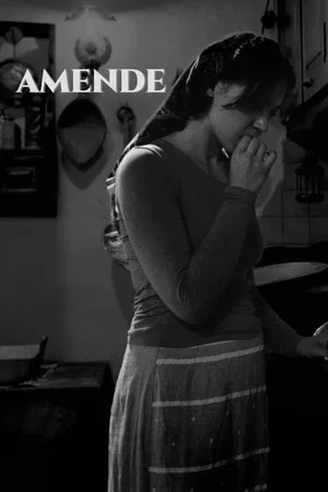 Постер: AMENDE