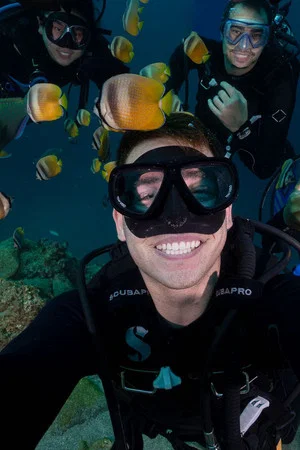 Постер: The Urchin Diver