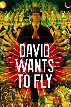 Постер: David Wants to Fly