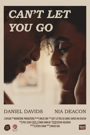 Постер: Can't Let You Go