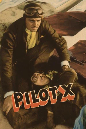 Постер: Pilot X