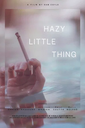 Постер: Hazy Little Thing