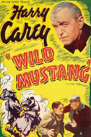 Постер: Wild Mustang