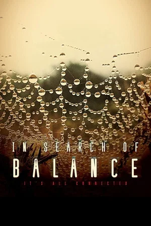Постер: In Search of Balance