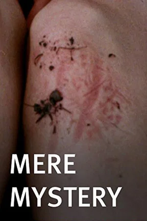 Постер: Mere Mystery