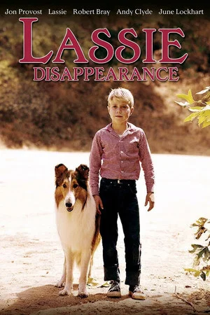 Постер: Lassie: Disappearance
