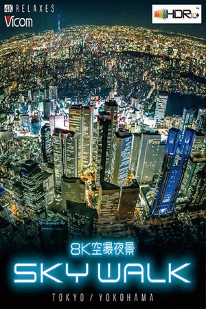 Постер: 8K空撮夜景 SKY WALK (スカイウォーク)TOKYO/YOKOHAMA