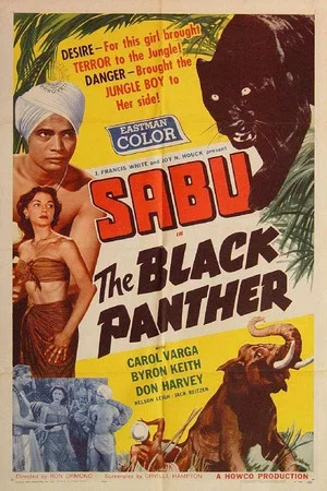 Постер: The Black Panther