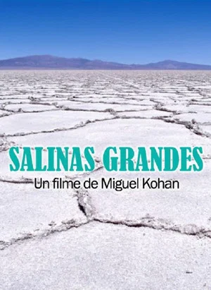 Постер: Salinas grandes