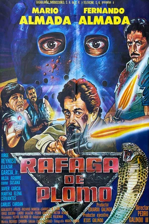 Постер: Rafaga De Plomo