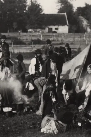 Постер: A Camp of Zingaree Gypsies