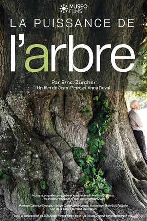 Постер: La Puissance de l’arbre avec Ernst Zürcher