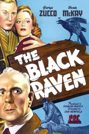 Постер: The Black Raven