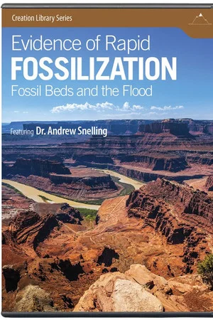 Постер: Evidence of Rapid Fossilization
