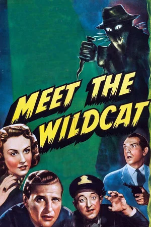 Постер: Meet the Wildcat
