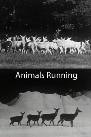 Постер: Animals Running