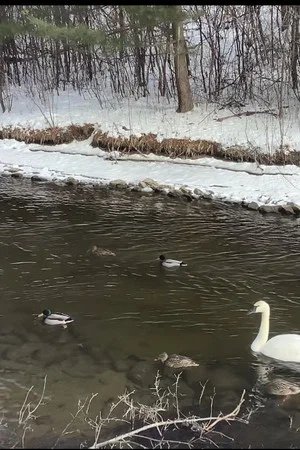 Постер: a moment of recovery