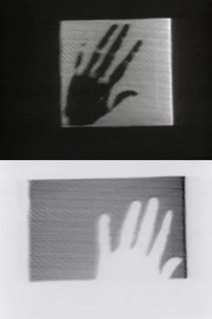 Постер: The Left Hand of Darkness