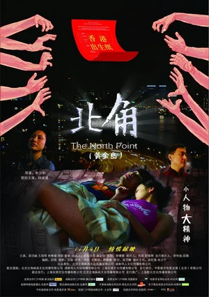 Постер: North point