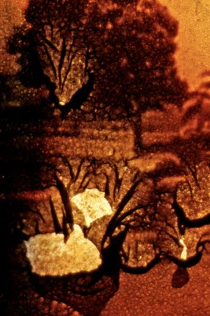 Постер: Stuttgart Filmwinter