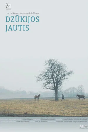 Постер: Dzukija’s Bull