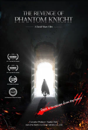 Постер: The Revenge of Phantom Knight