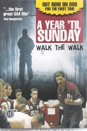 Постер: A Year 'til Sunday