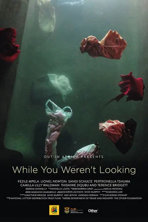 Постер: While You Weren't Looking