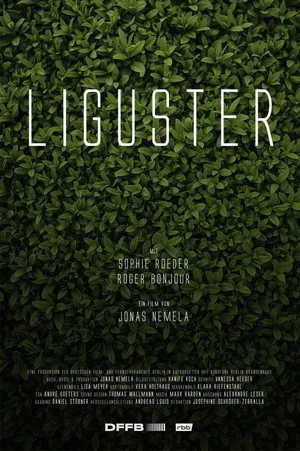 Постер: Liguster