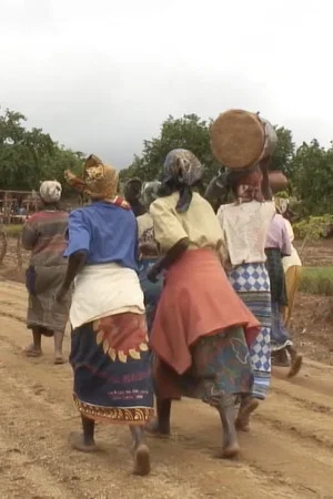 Постер: If Vagina Had Teeth: The Shona Rainmaking Ceremony in Western Mozambique