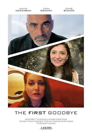 Постер: The First Goodbye